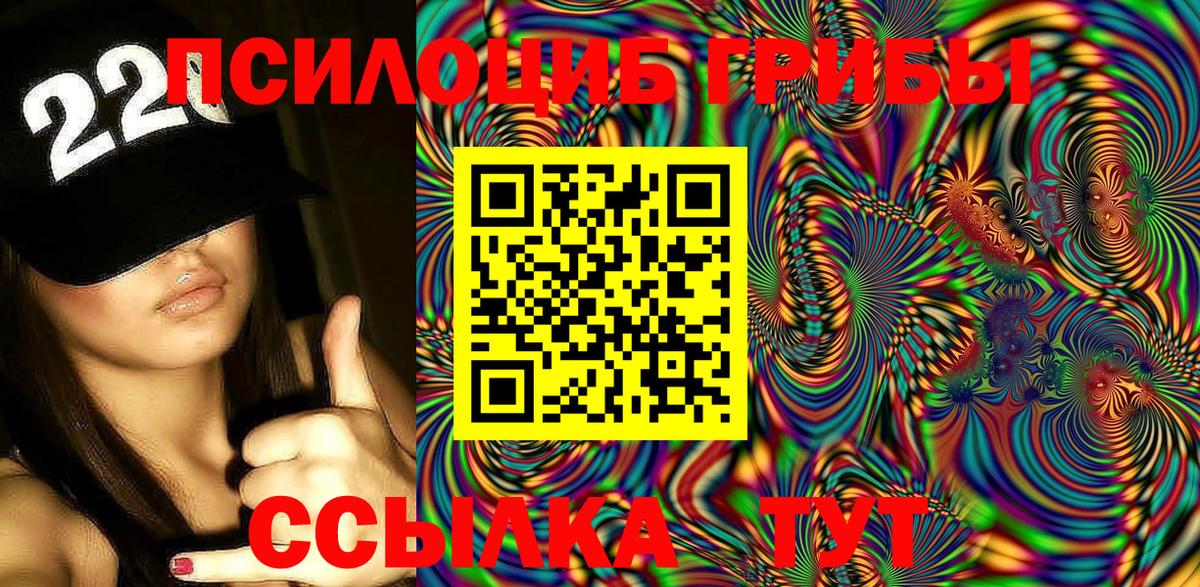 Аргун  Галлюциногенные грибы Magic Shrooms  Галлюциногенные грибы MAGIC MUSHROOMS  где можно купить   Вход с VPN 