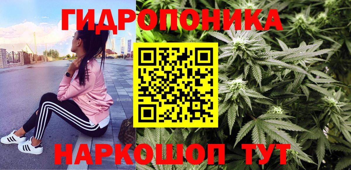 Шишки марихуана OG Kush Аргун